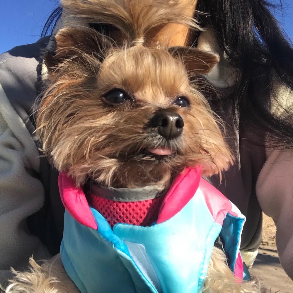 Meet your Posher, Ainara